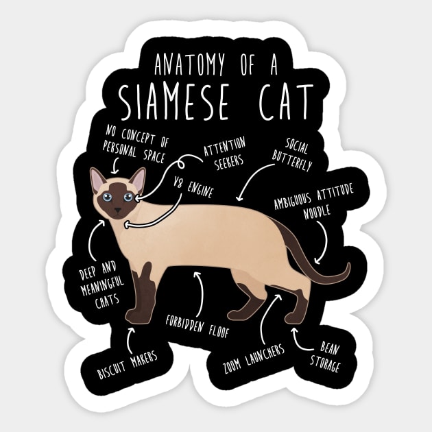 Siamese Cat Anatomy Sticker by Psitta